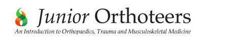 Junior Orthoteers