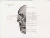 skull anterior aspect right half